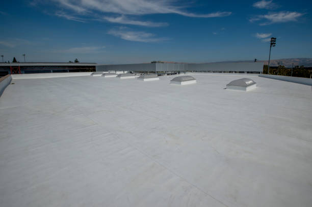 Best Skylight Installation and Repair  in Wyoming, PA