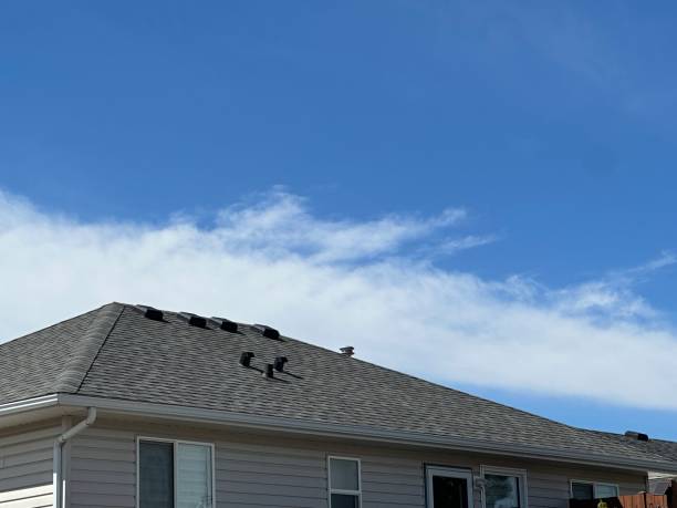Siding in Wyoming, PA